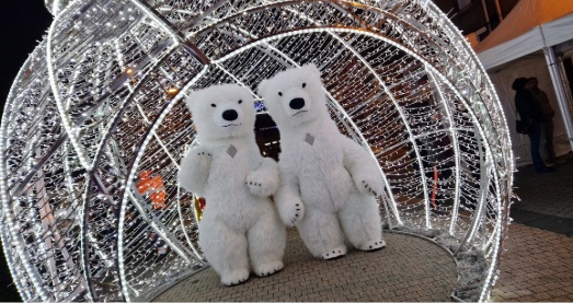 Location d&eacute;corations No&euml;l Hauts-de-France